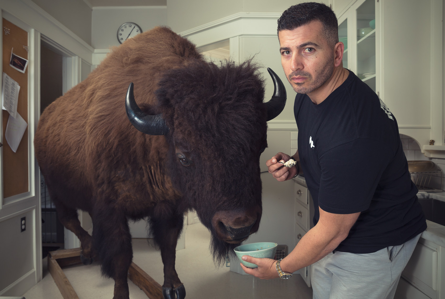 Man holding a bowel to feed a buffalo in a kitchen.